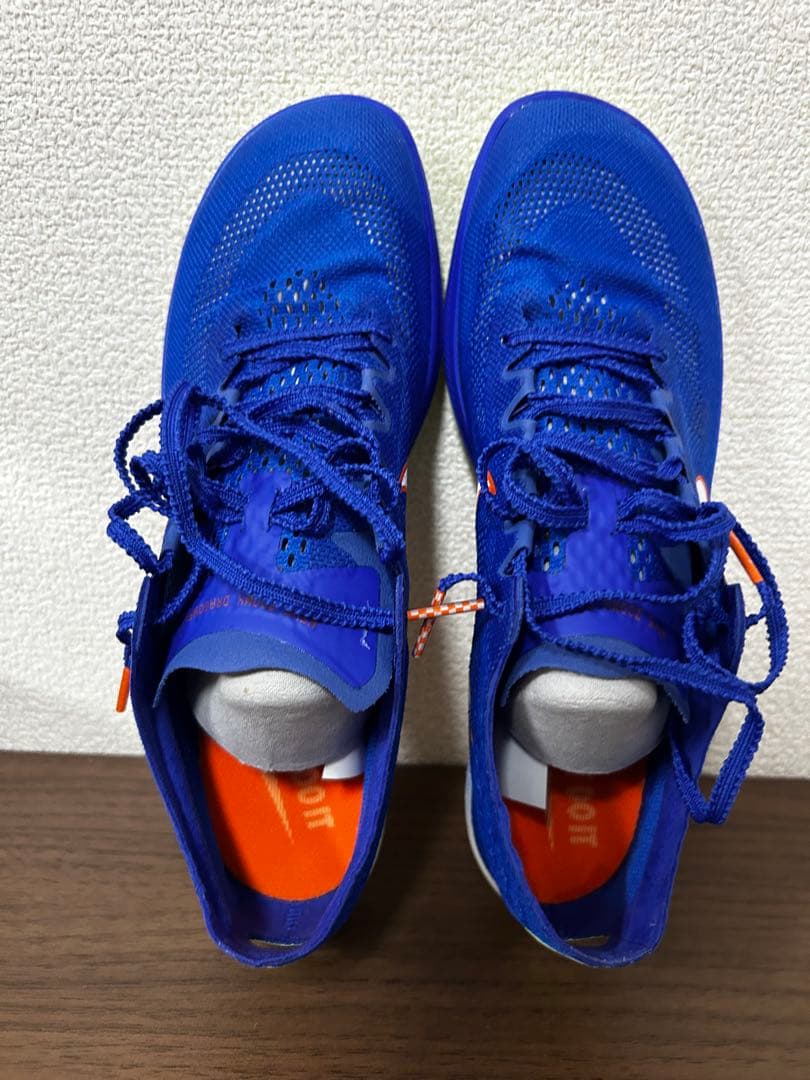 NIKE ドラゴンフライ [M 25cm]