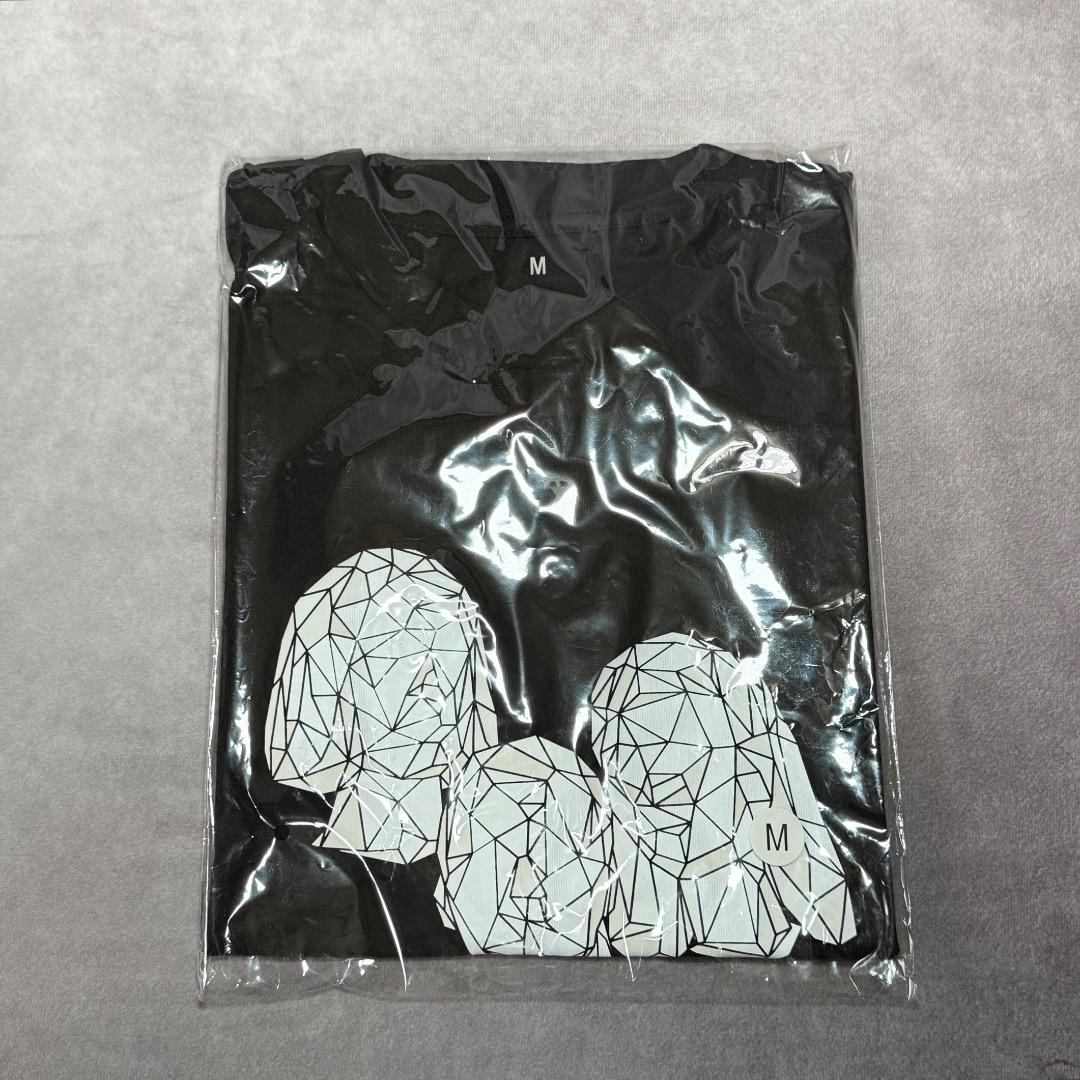 Perfume LIVE polygon wave グッズセット　　P36