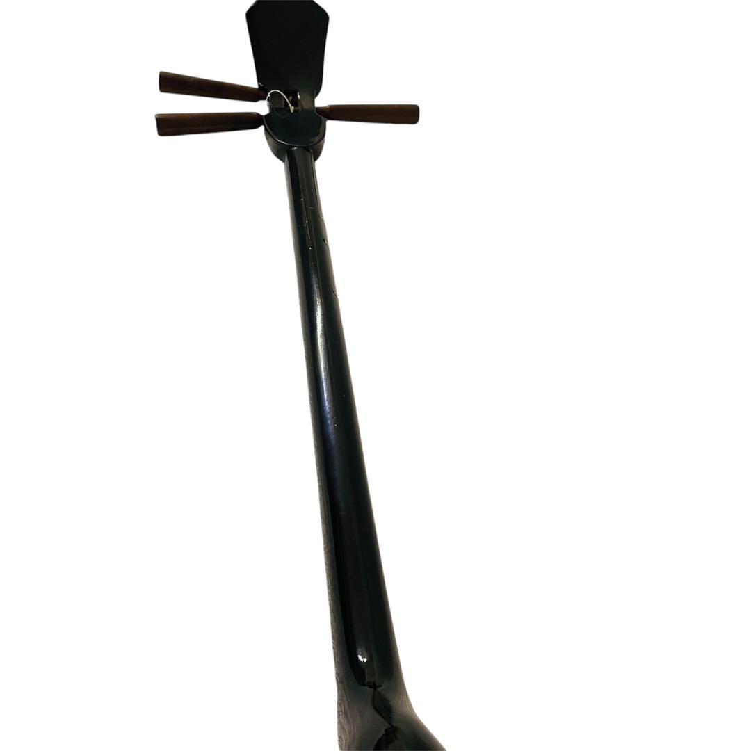 【美品】沖縄三線 人工皮革 蛇柄 胴巻き カラクイ全木　初心者向け