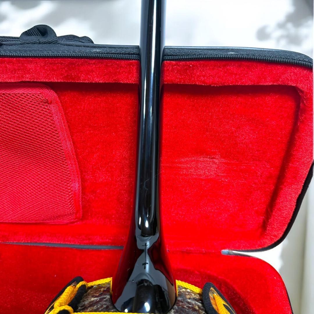 ☆美品 沖縄 琉球 三線 本蛇革 本革 蛇革 本皮 蛇皮 爪 ケース付 伝統楽器