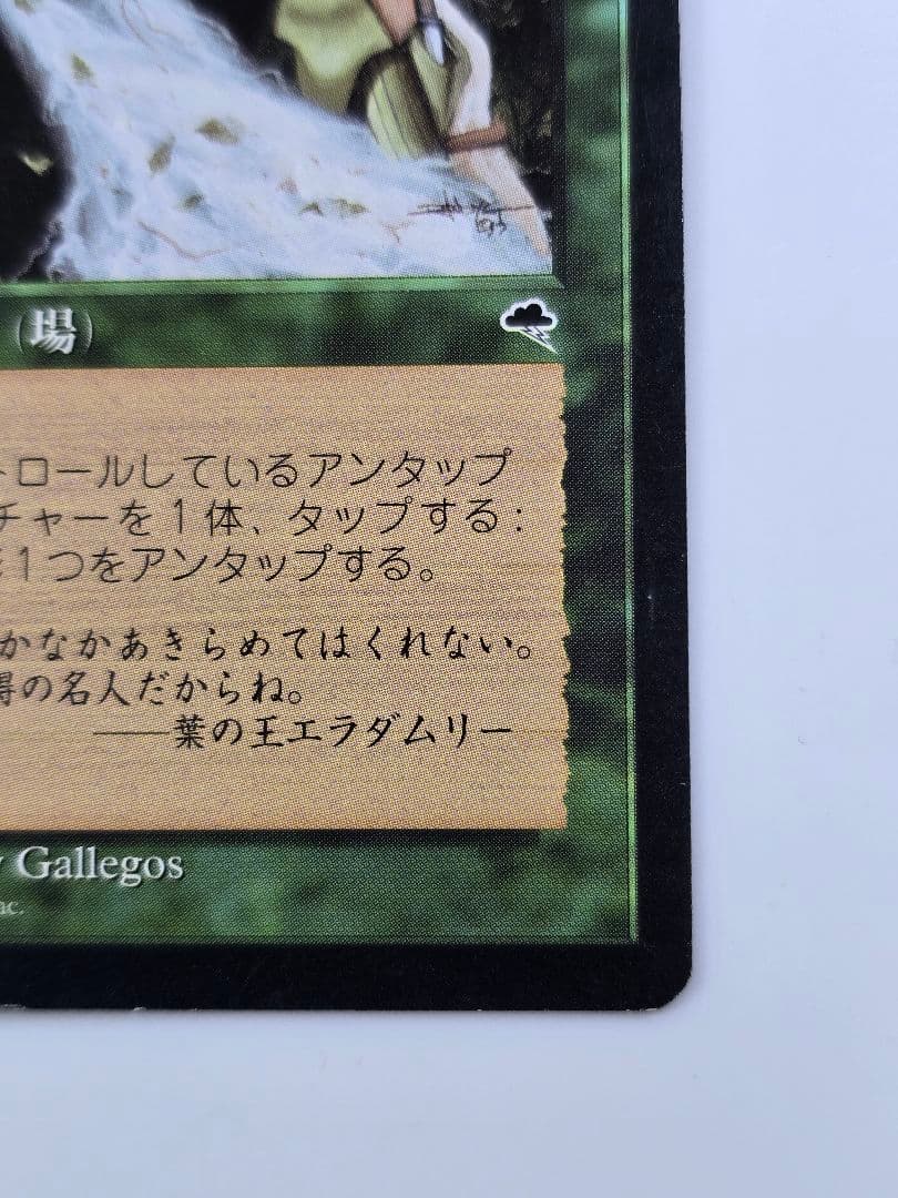 MTG 《大地の知識/Earthcraft》[TMP] 日本語