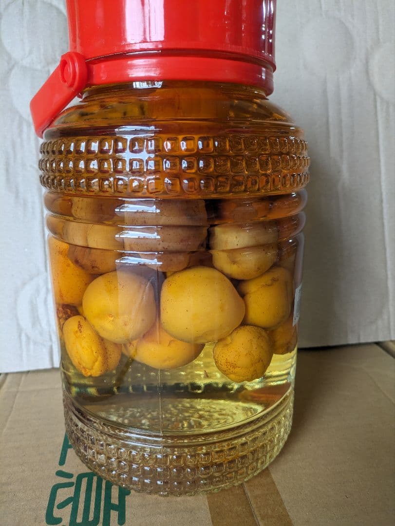 今が旬の杏酒の実　　特大品です。これからが最高です。