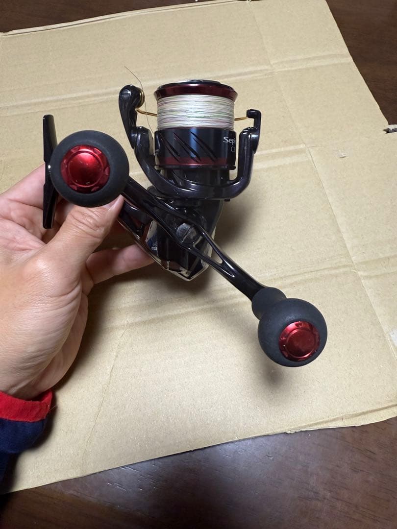 17セフィアCI4+ C3000SDH エギング ダブルハンドル　peライン付