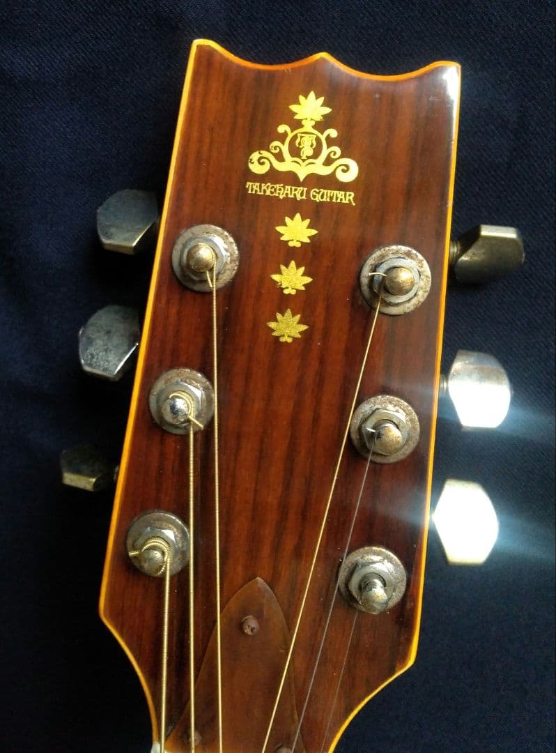 TAKEHARU GUITAR　WT-250　made in Japan