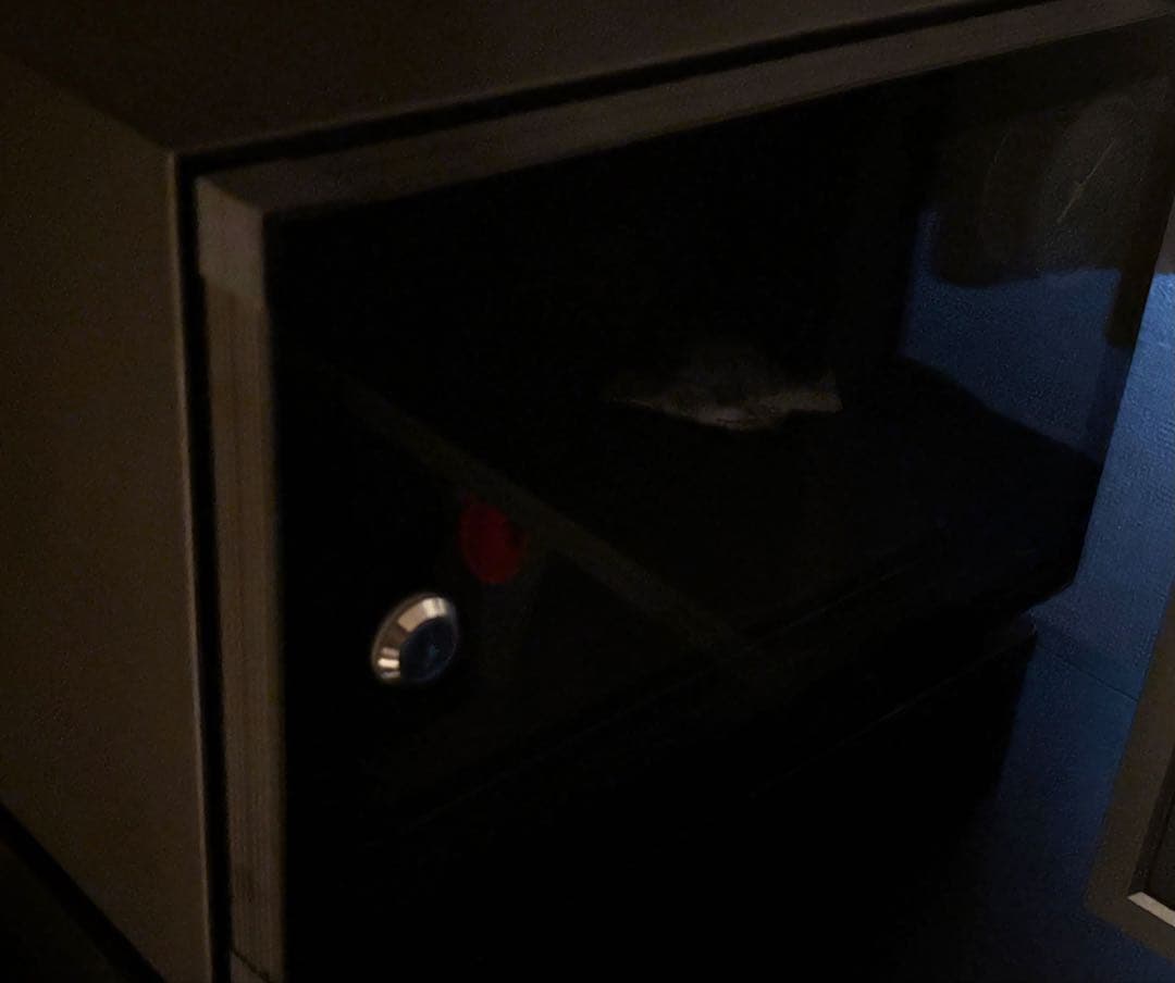 AKG C414 XLⅡ コンデンサーマイク