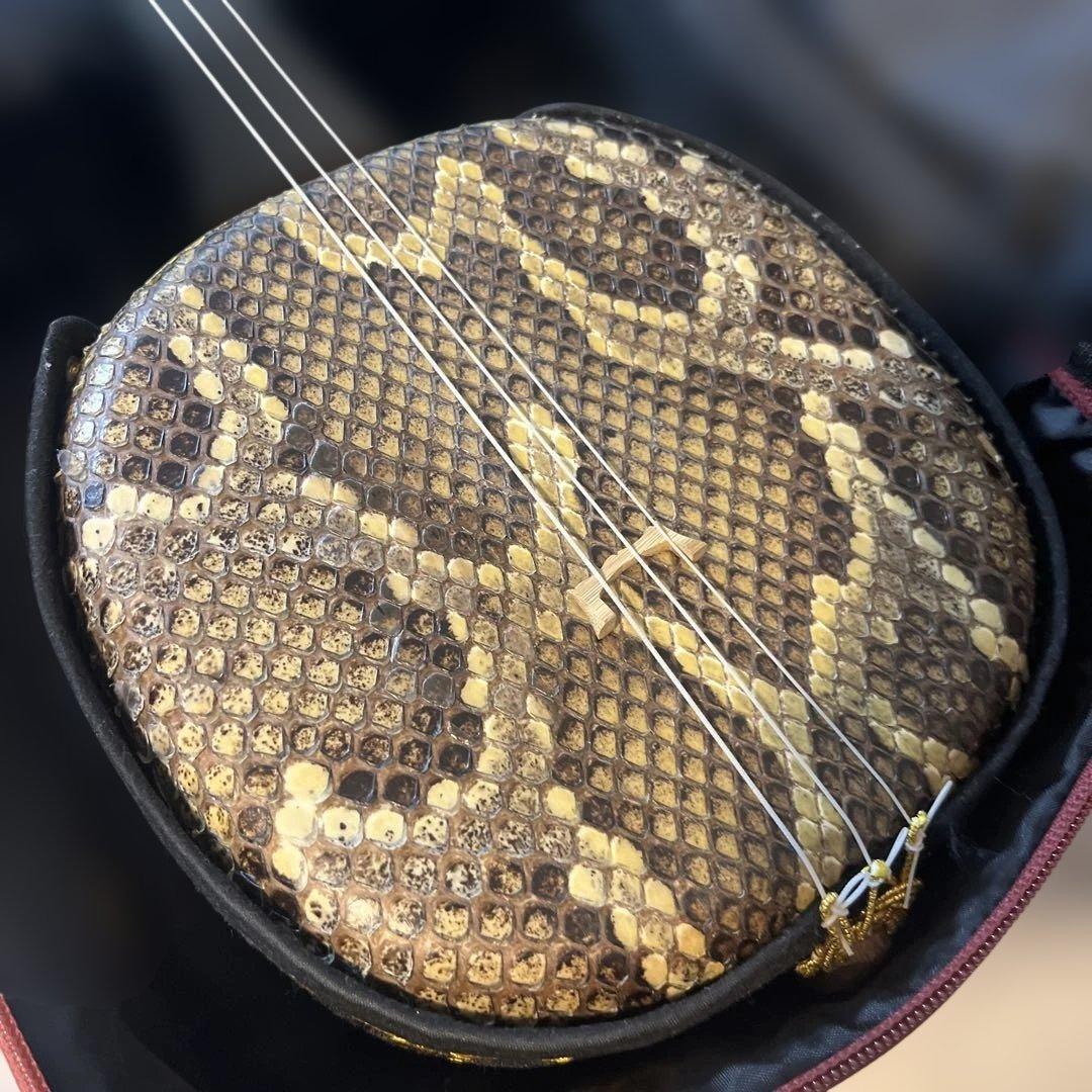 三線 本体 蛇の皮 ケース付き