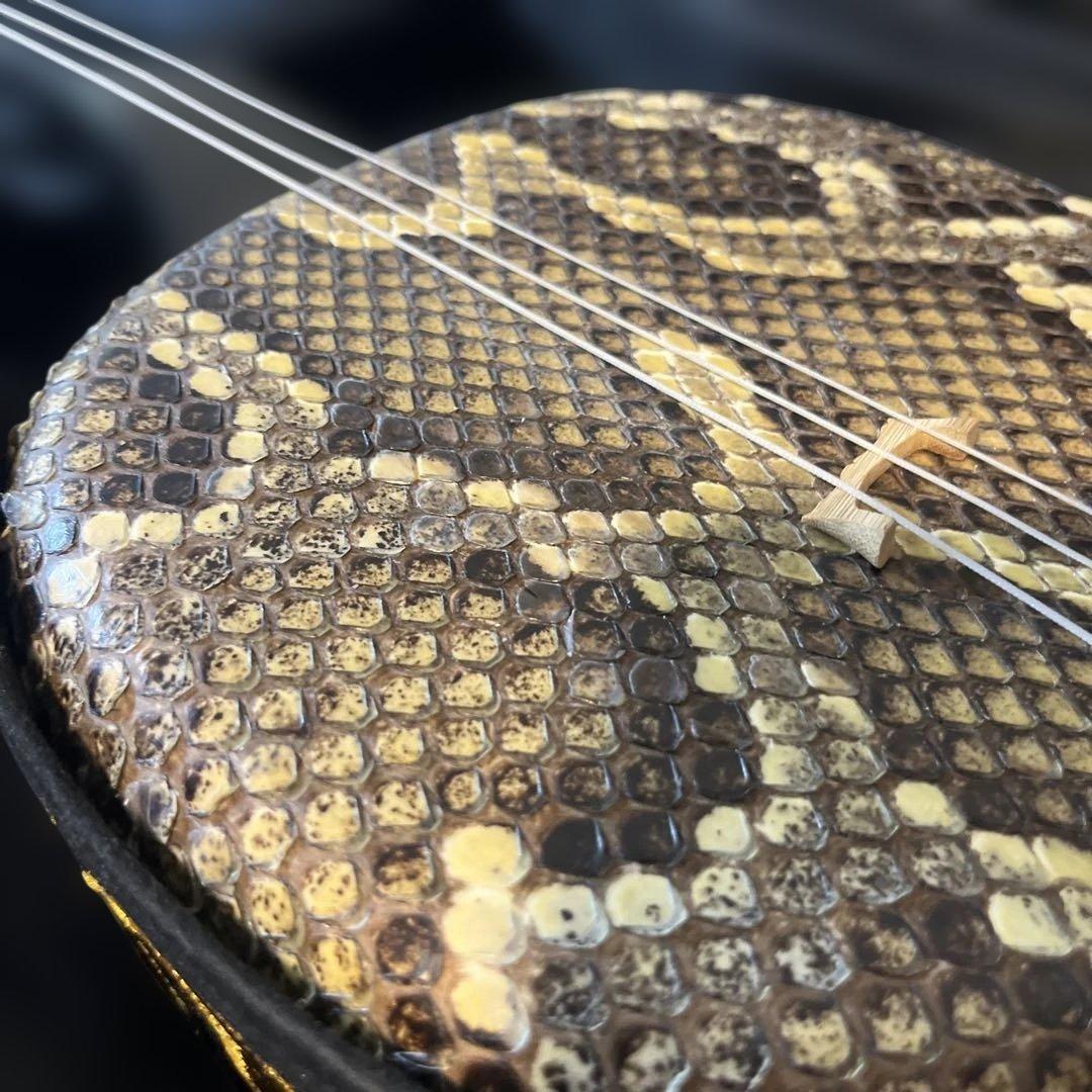 三線 本体 蛇の皮 ケース付き