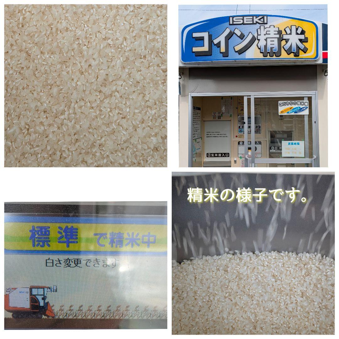 令和7年産三重県伊賀産キヌヒカリ15kg普通精米（5kg×3）