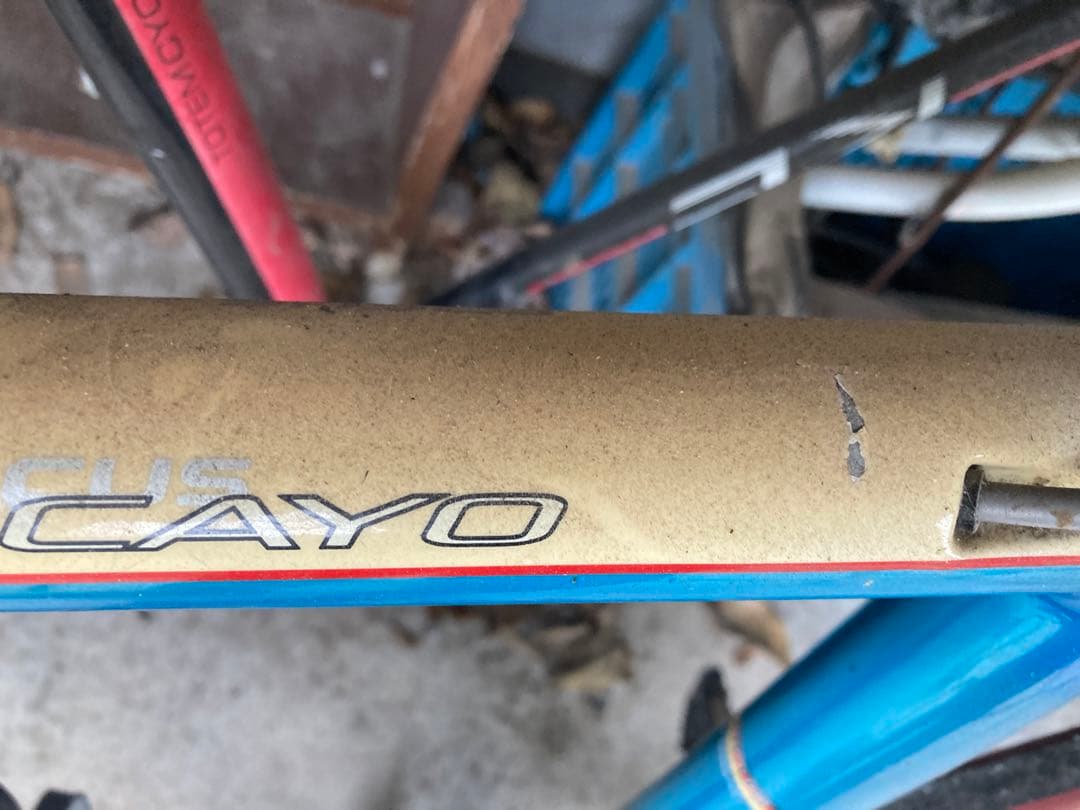 ジャンク　FOCAS cayo