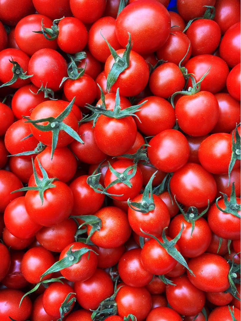 ミニトマト9kg⭐️100円引き⭐️日曜限定！②