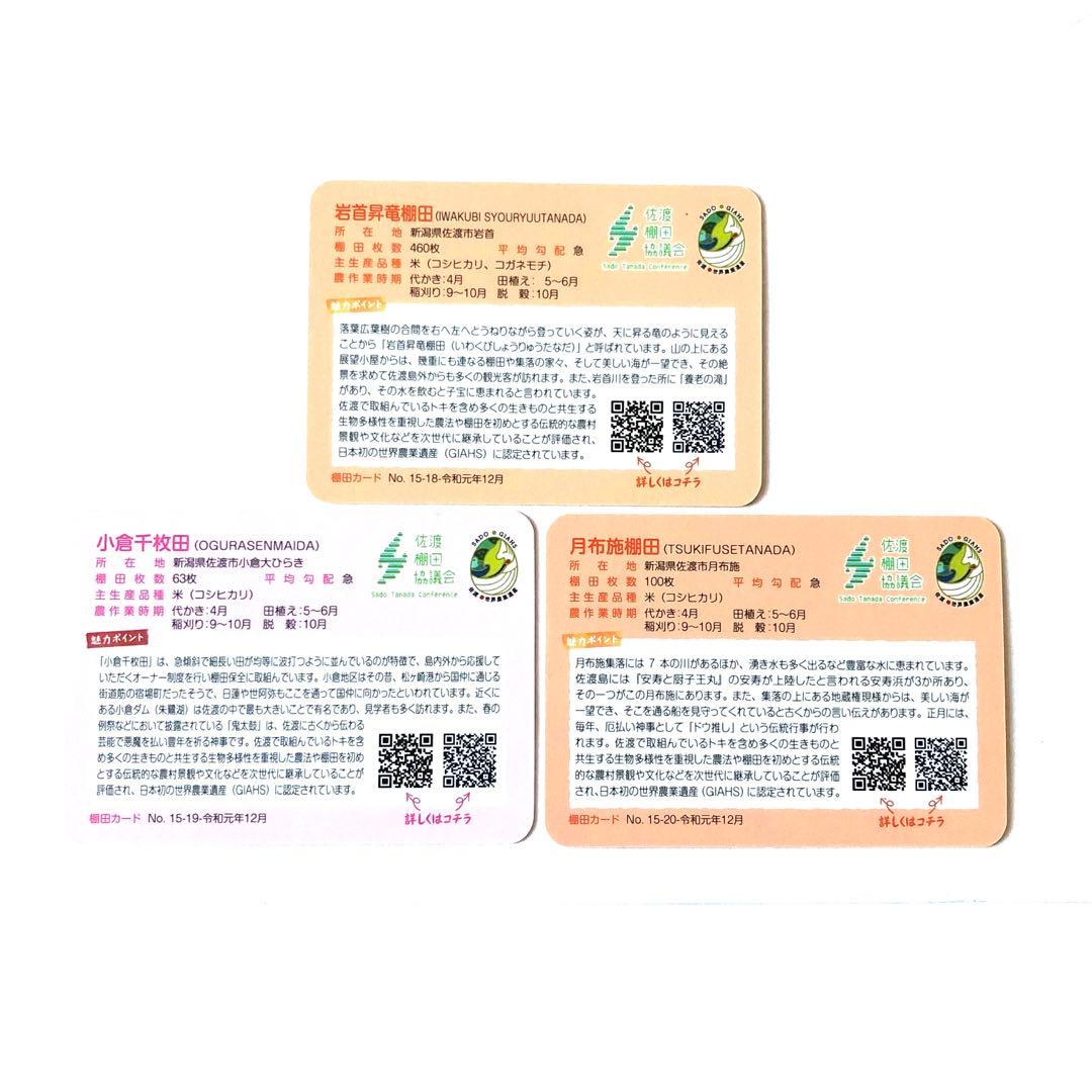 棚田カード　岩首昇竜棚田 小倉千枚田 月布施棚田(新潟県)