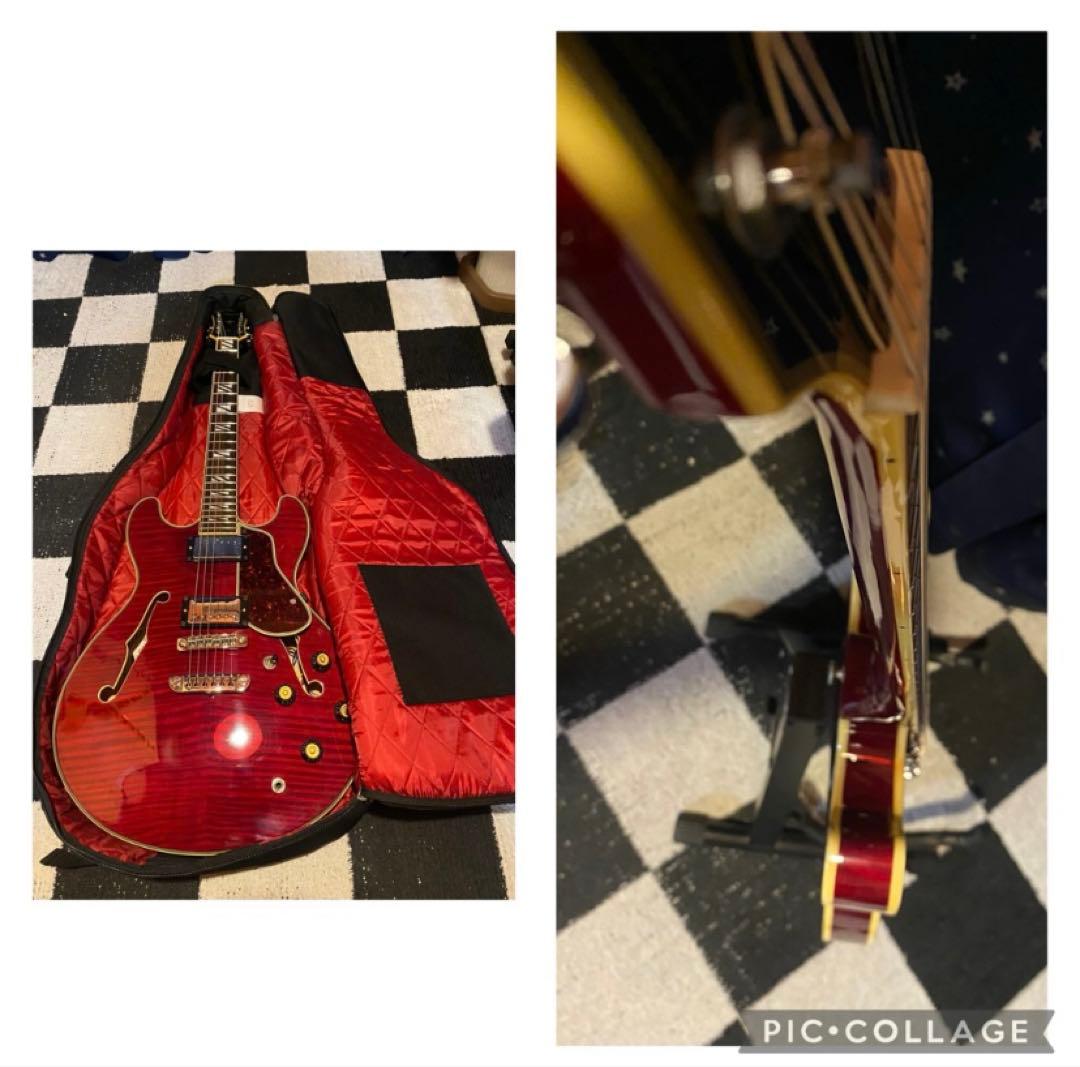 Aria Pro 2 TA-700 (Ritter Gig Bag付き)