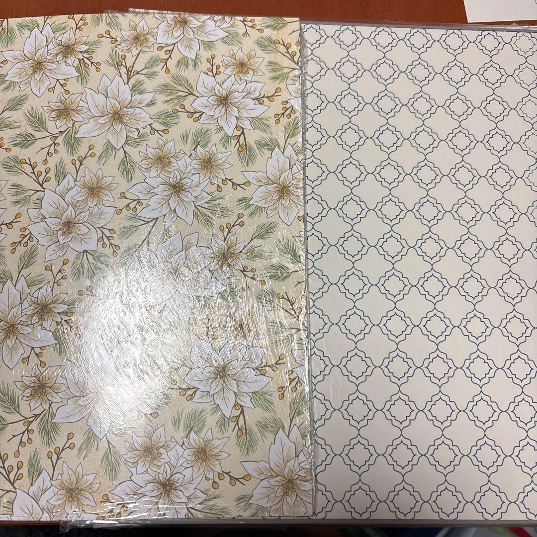 スタンピンアップ　DSP 12インチ　110枚！