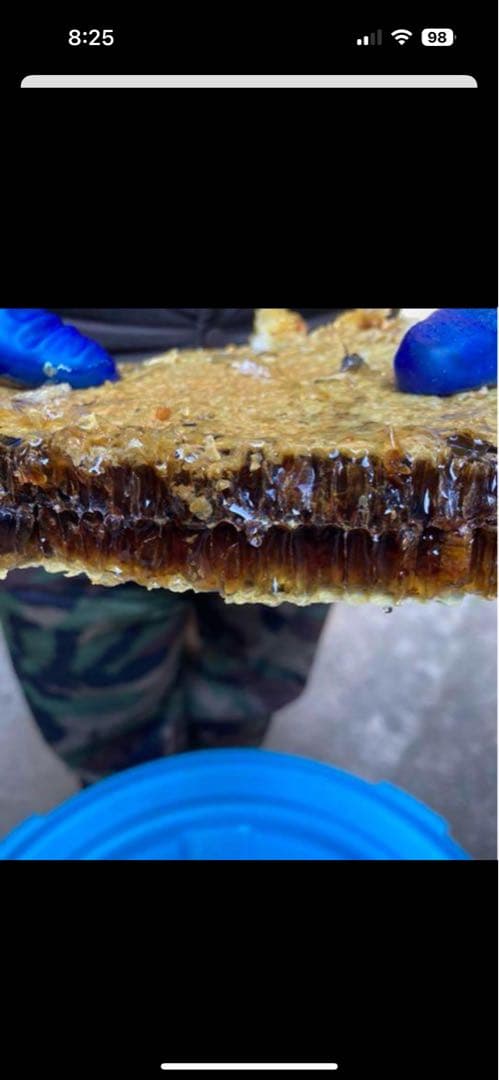 【楓】ニホンミツバチ　百花蜜　2,350g