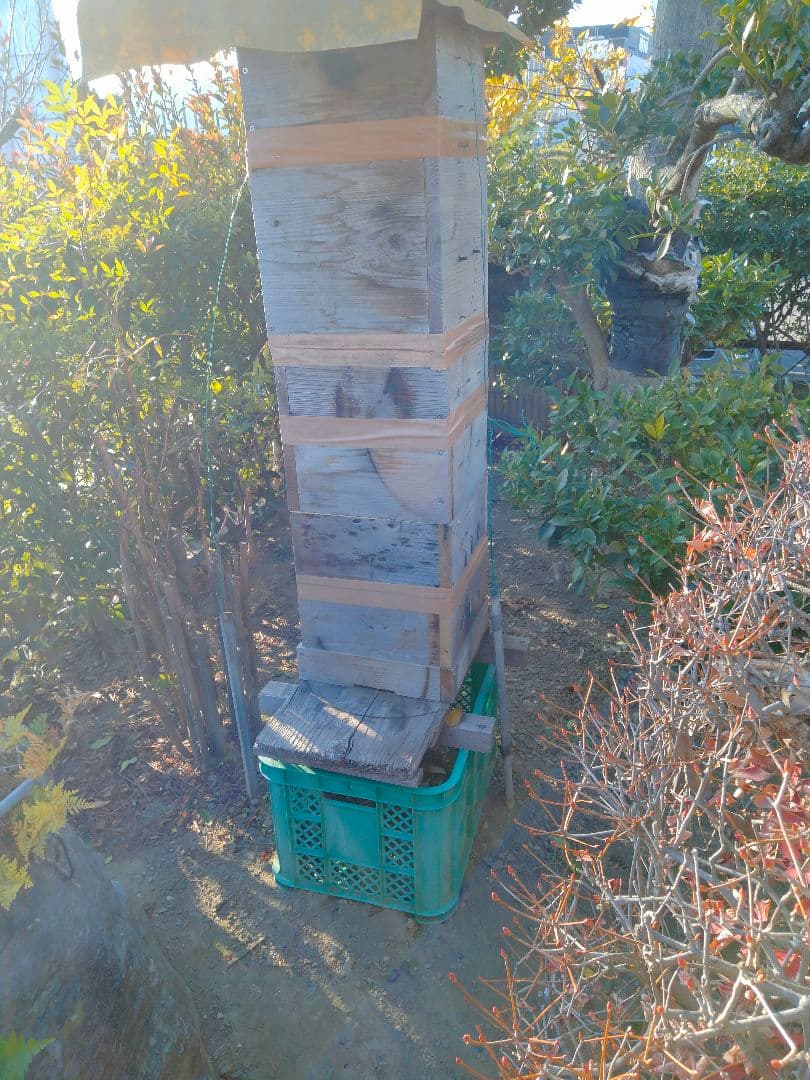 日本蜜蜂　百花蜜　200g×6　天然非加熱　　　ハチミツ