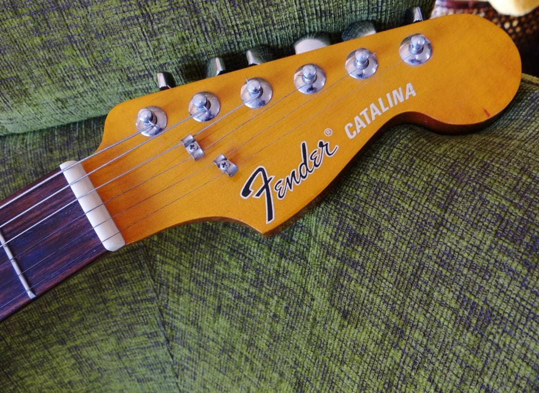 Fender CATALINA アコースティックギター 花子