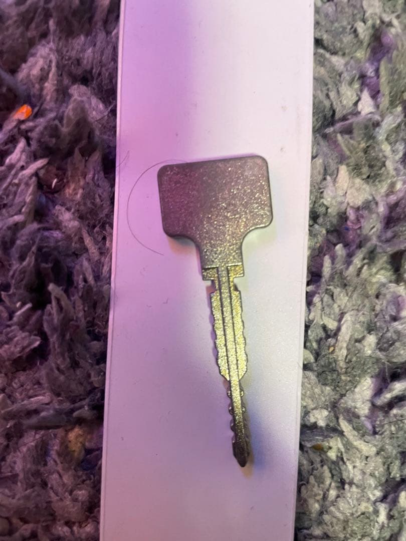 聖闘士星矢　海皇覚醒