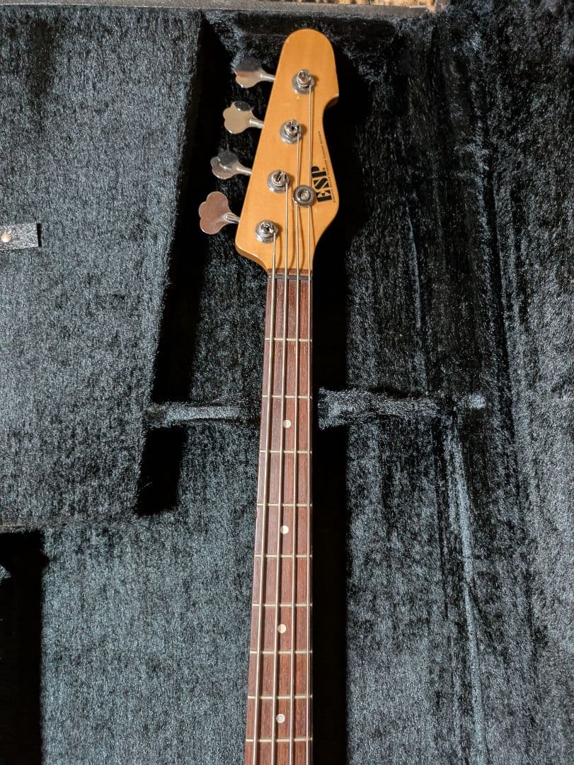 ESP AP ベース おまけ付き