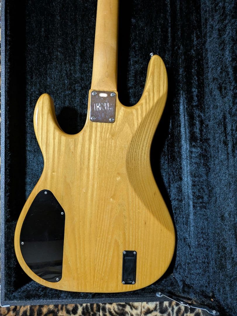 ESP AP ベース おまけ付き