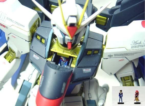 MG ストライクフリーダムガンダム / ガンプラ全塗装完成品