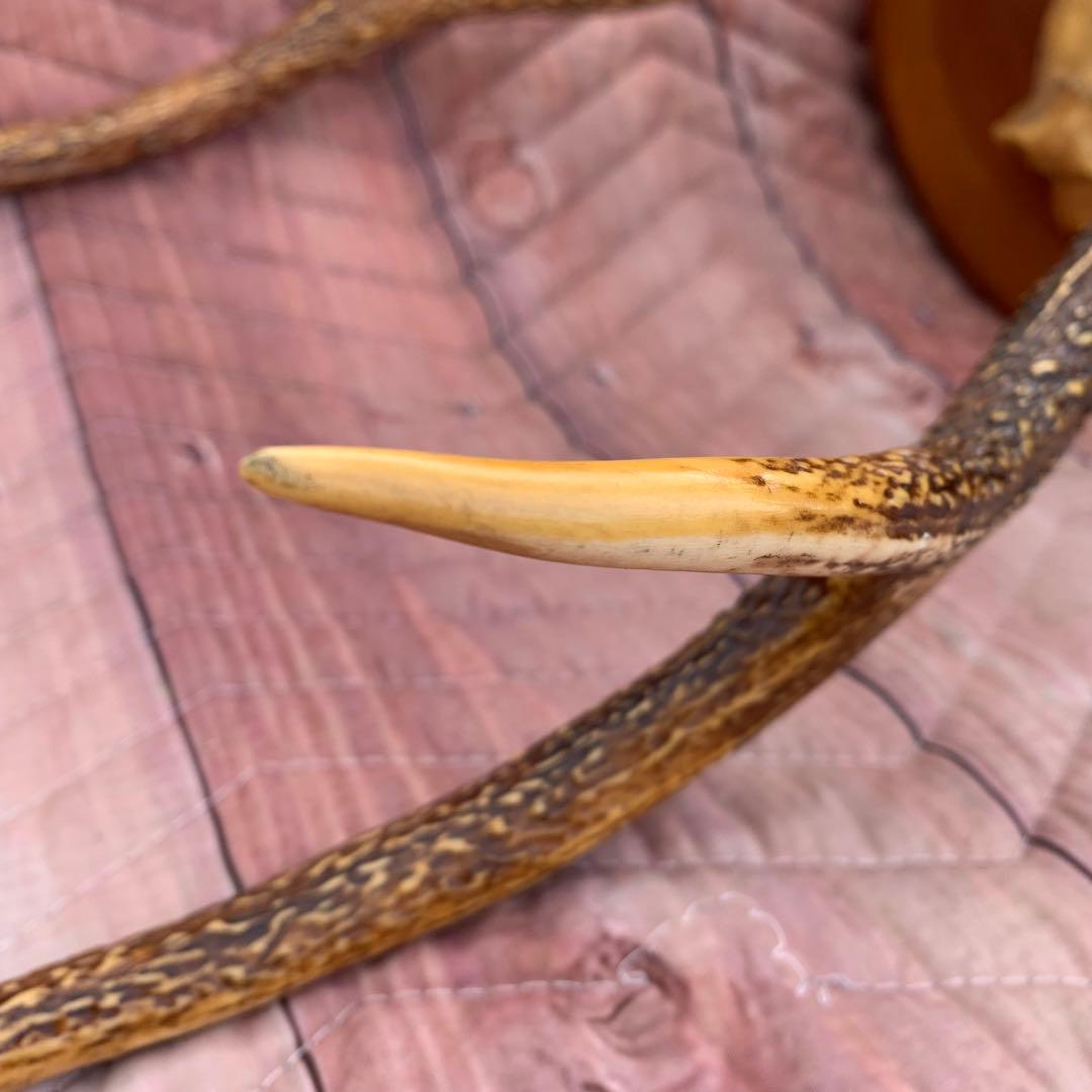 刀掛け　日本刀　模造刀