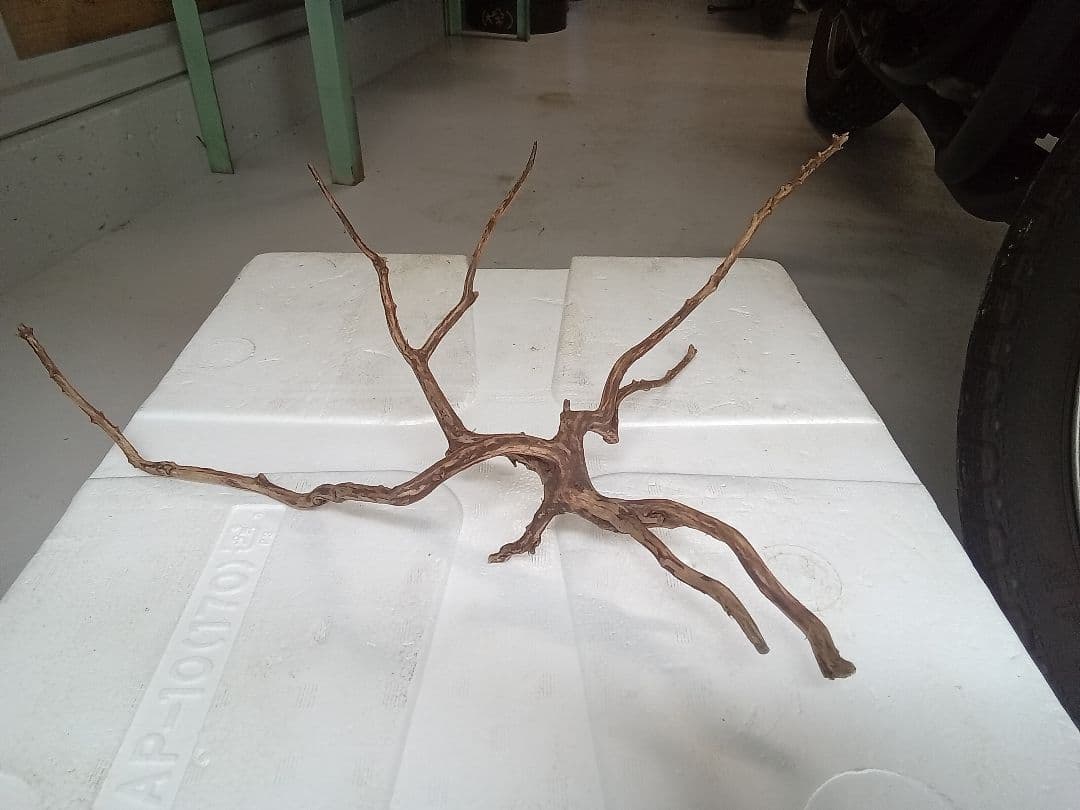 流木　詰め合わせ