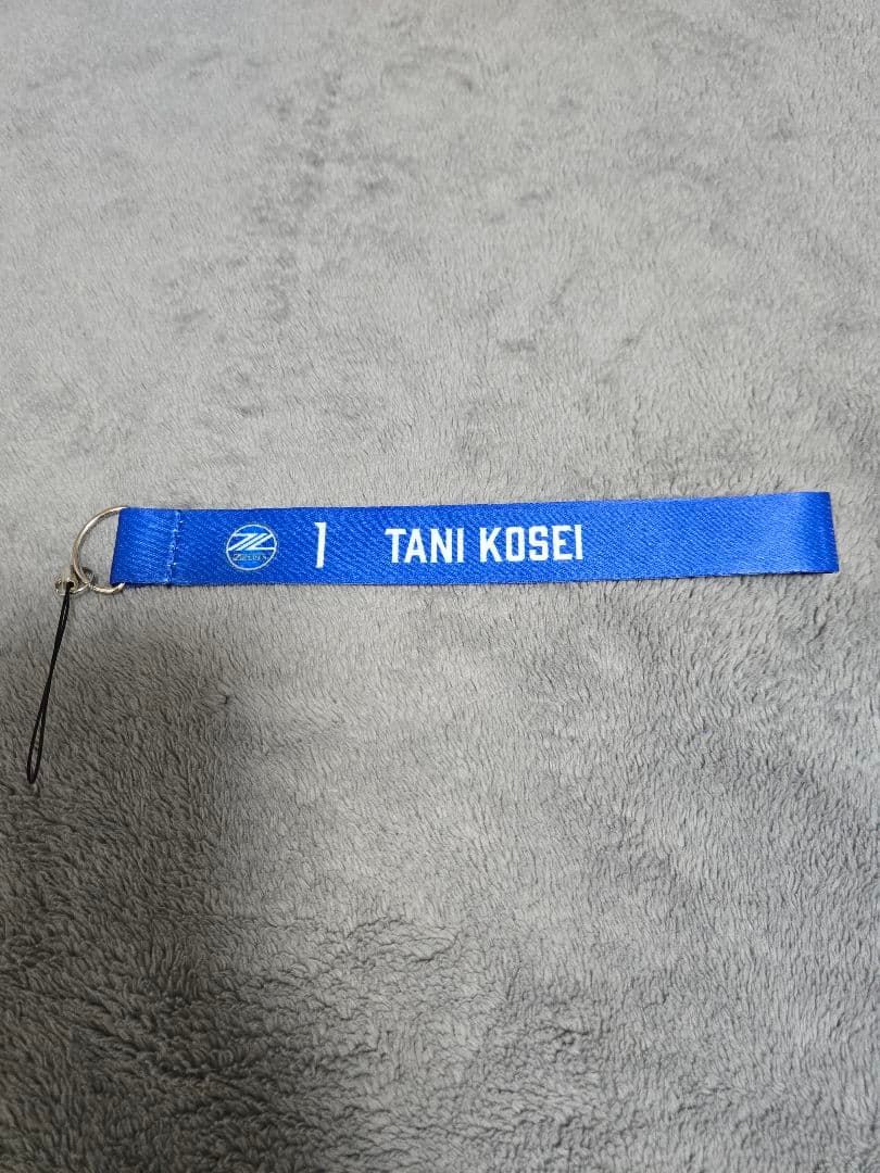 限定品 町田ゼルビア 谷晃生 直筆サイン入りグッズ ４点セット