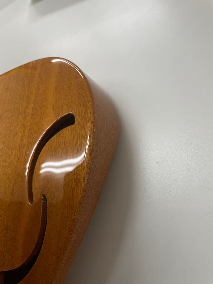 限定生産モデル Schecter OL-PT-TH ホロウボディ