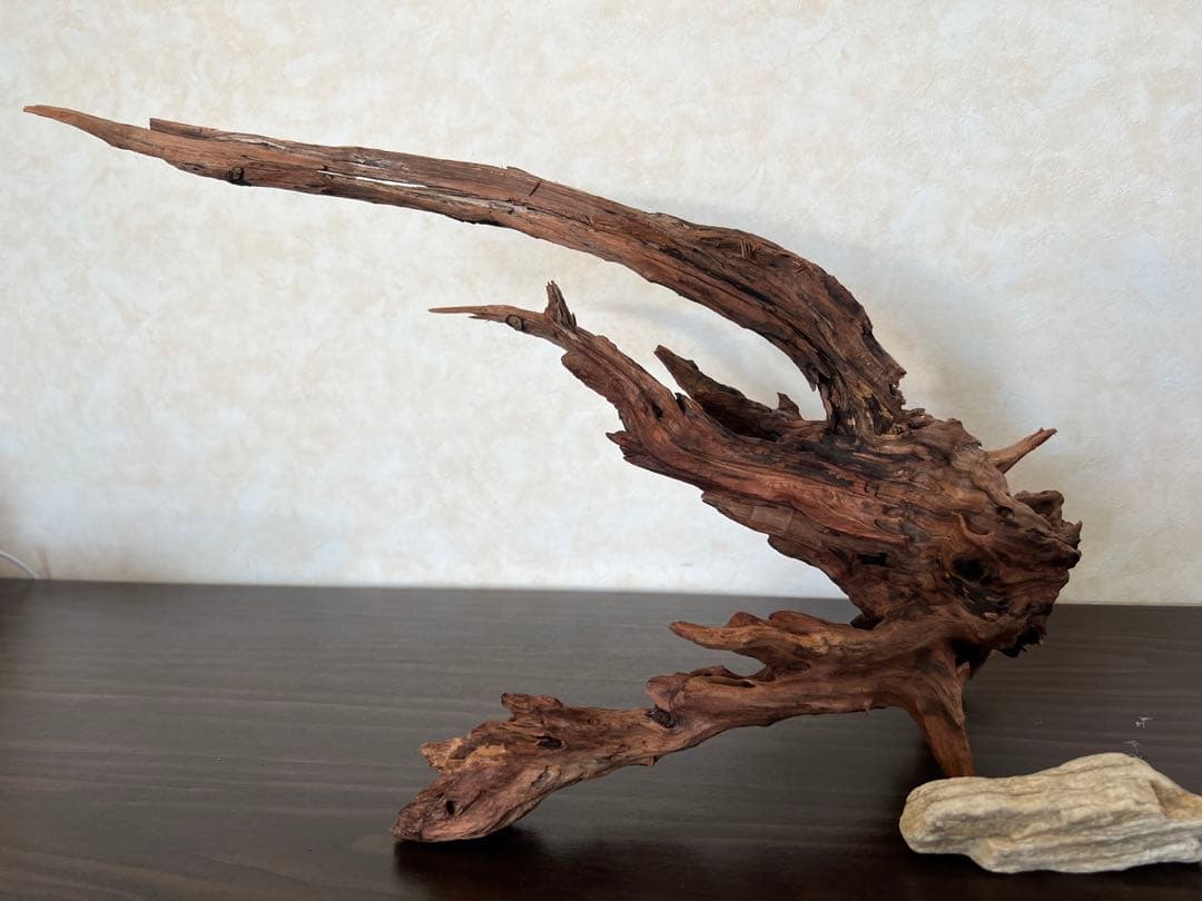 HX-013 流木　ホーンウッド　マシンガンウッド　アクアリウム　ブランチウッド