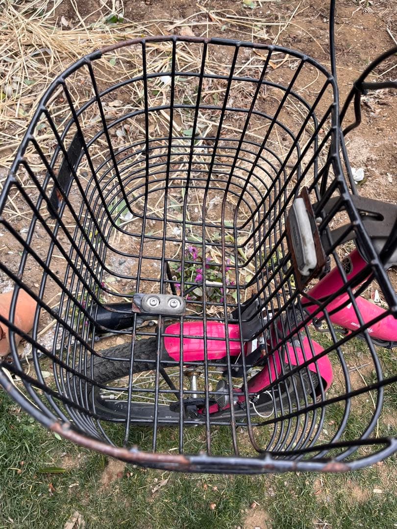 パスバビー　電動自転車