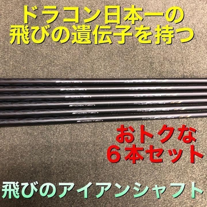 【アイアン用6本】ドラコン日本一の遺伝子! ワークス Vスペック3 シャフト