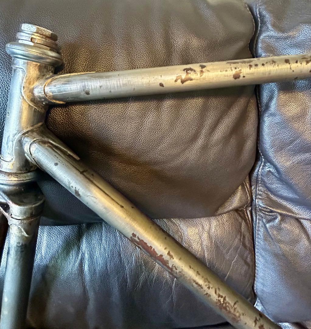 希少‼️  SHARK アイランドシャーク　ヴィンテージフレーム