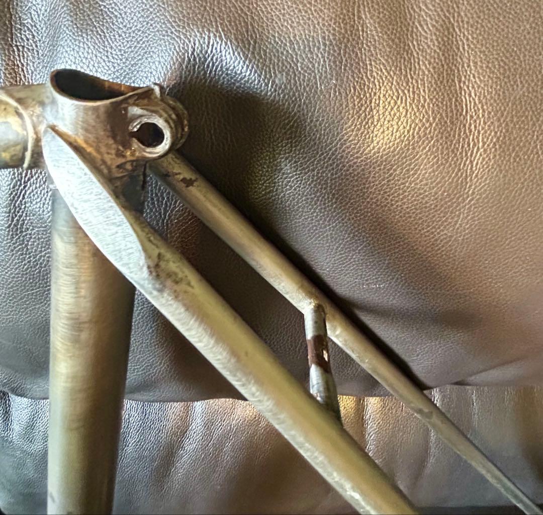 希少‼️  SHARK アイランドシャーク　ヴィンテージフレーム