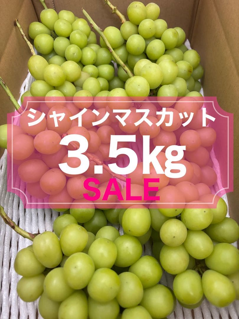 山梨県笛吹市　シャインマスカット　3.5㎏