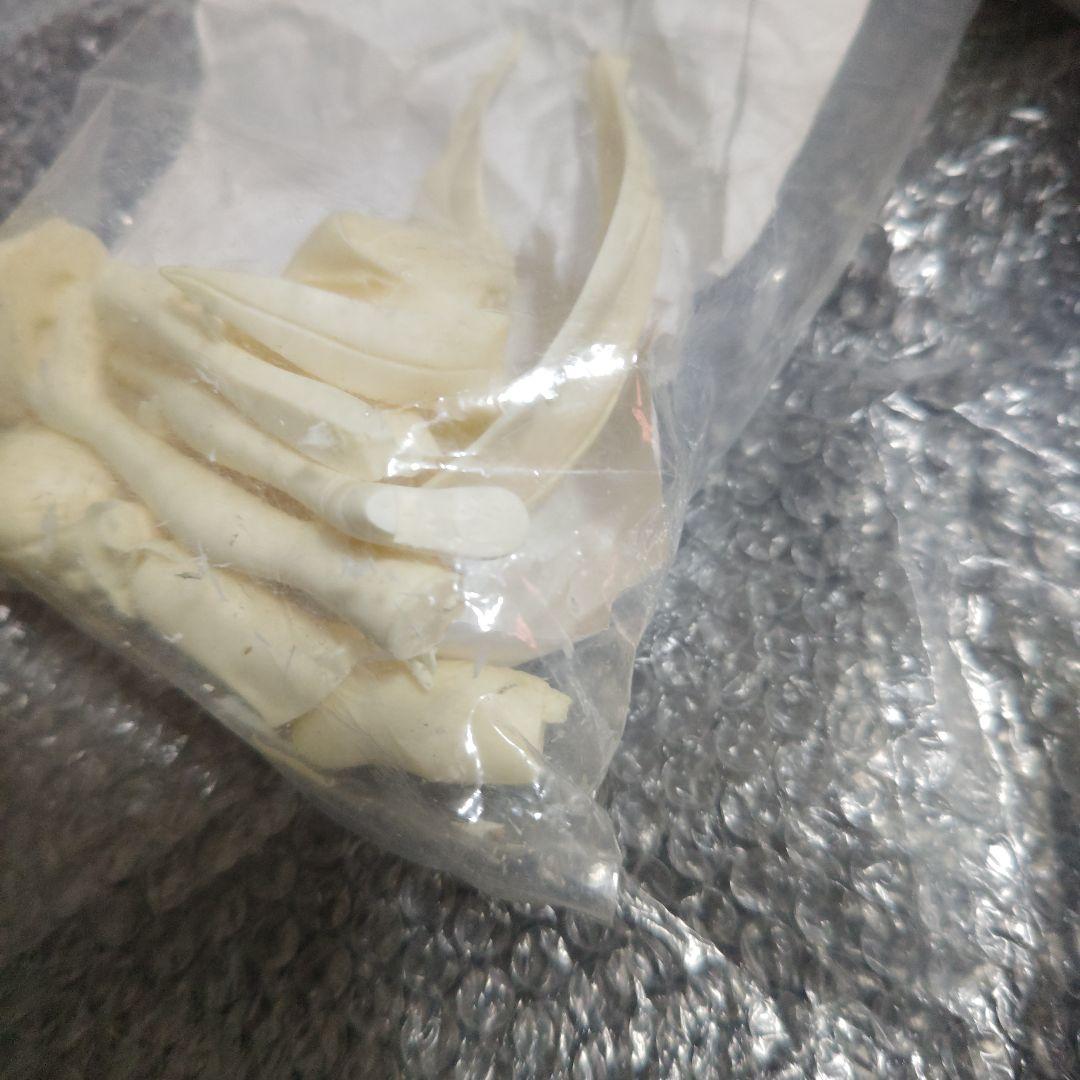 初音ミク　マジシャン　コブラ会　ガレージキット　未組立