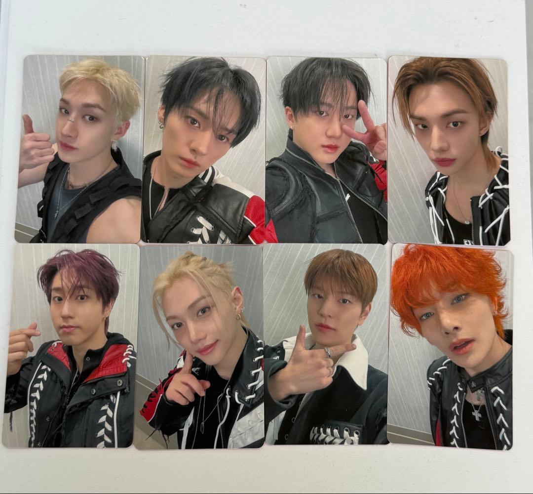 straykids オフイベ 幕張 会場限定 トレカ 8枚 コンプ 2/1