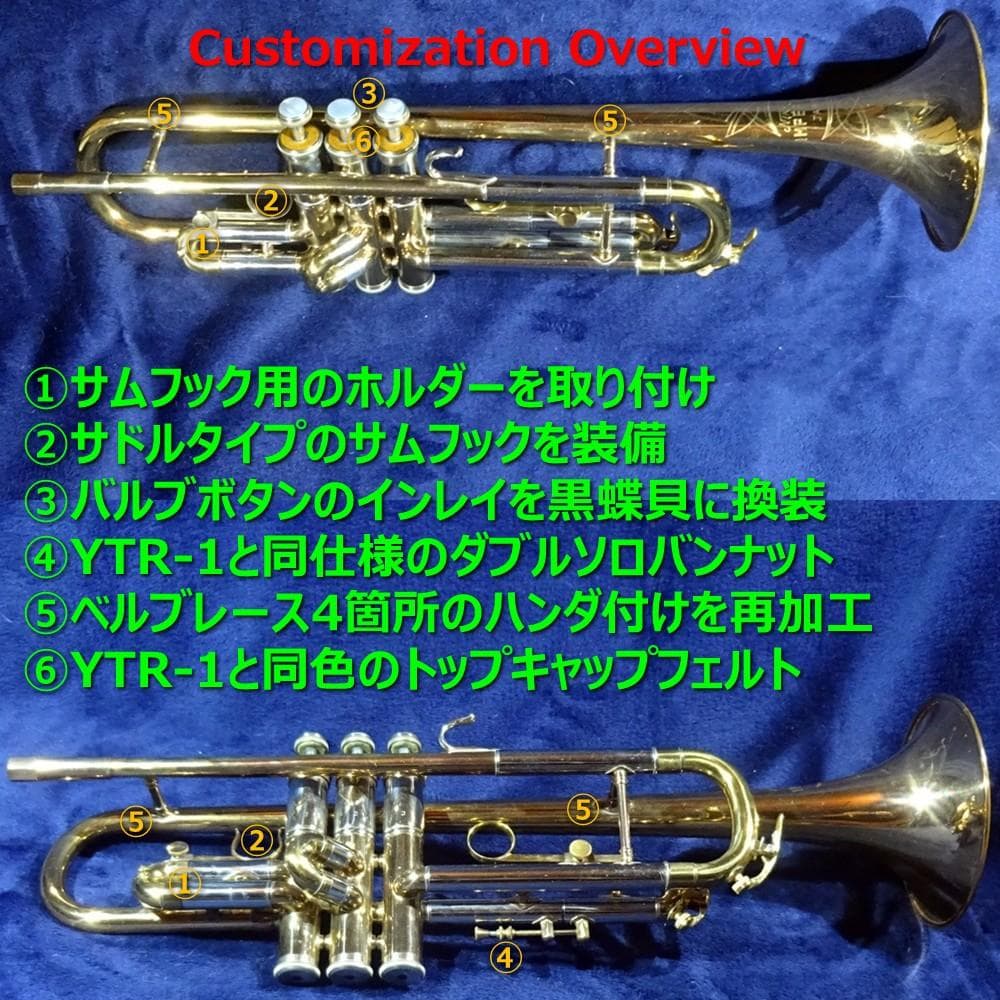 Niikan Imperiale（日管）TR-1（1966）リビルド＆カスタム