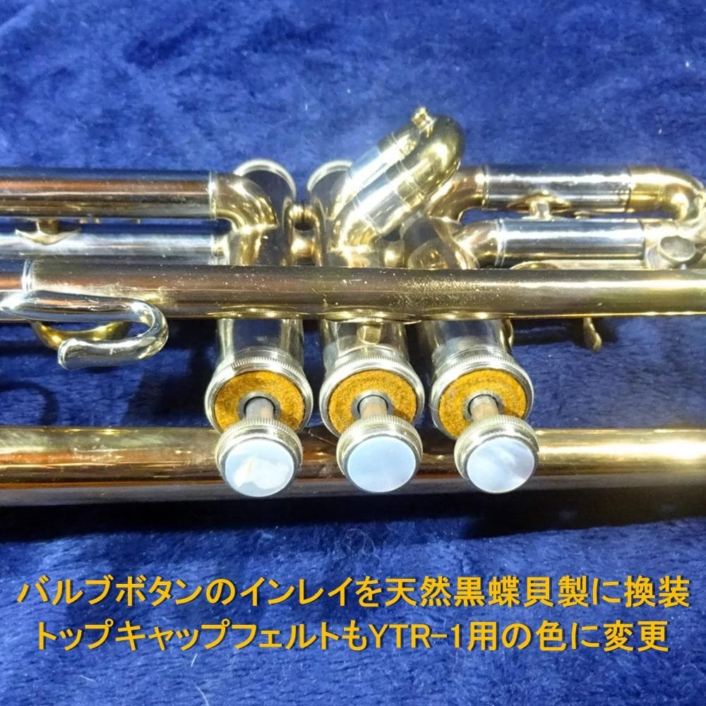 Niikan Imperiale（日管）TR-1（1966）リビルド＆カスタム