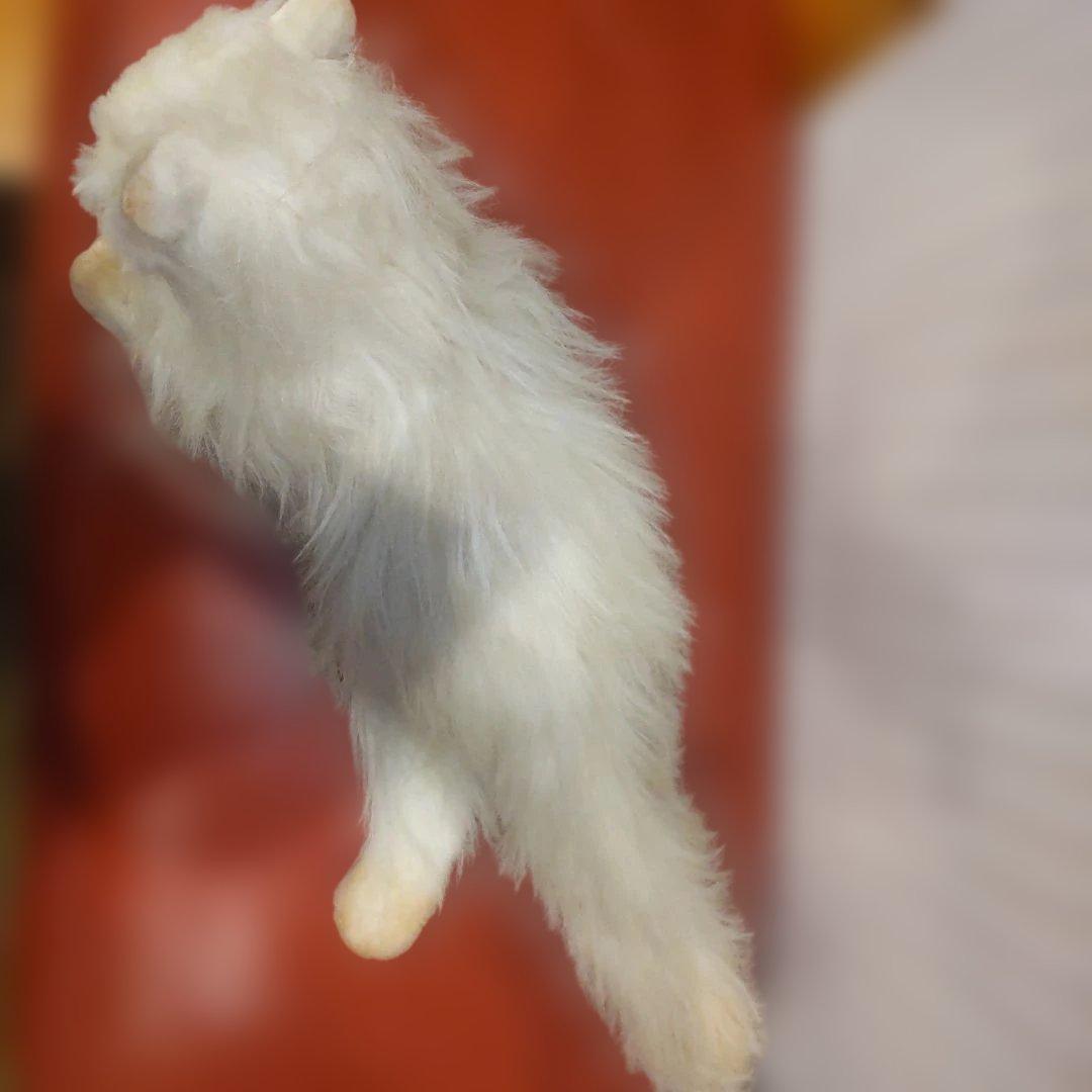 三英グレイスフル　ペルシャ猫　日本製　アクリル　大型　ラスト