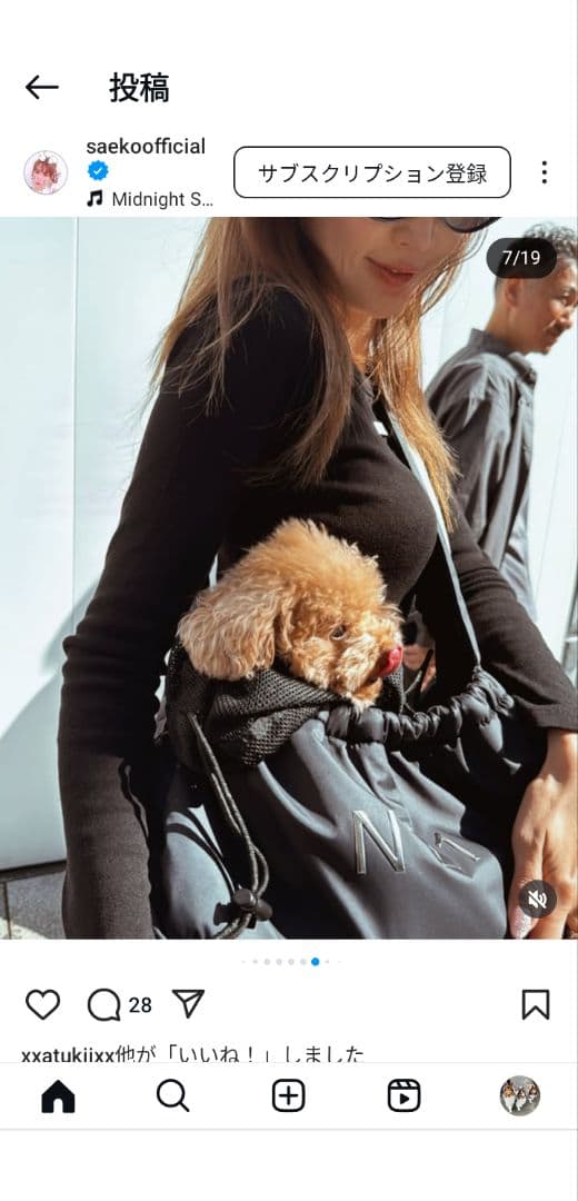 mm818ヌメロ SLING スリングタイプ犬用キャリーバッグMサイズ