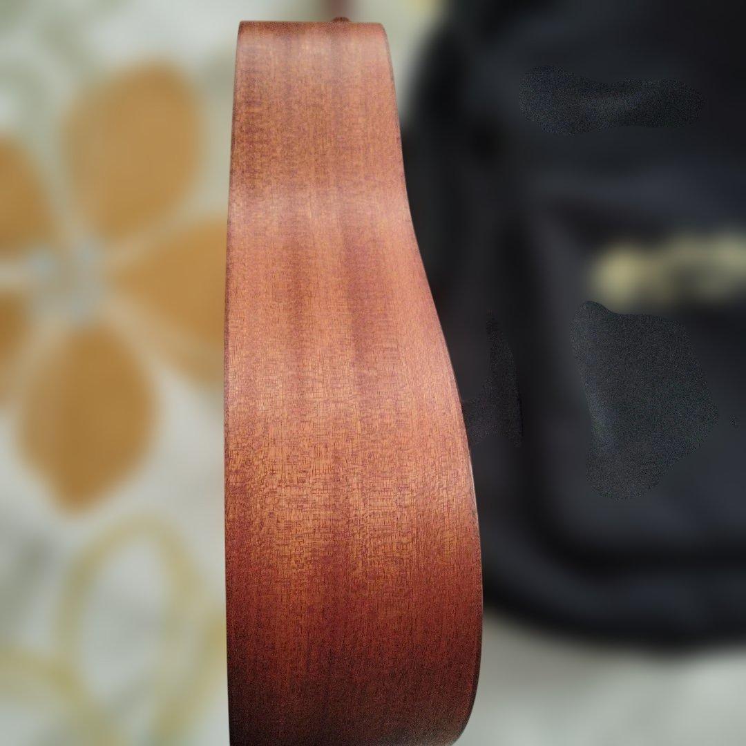 マーティンDＪR2A。オール単板（サペリ）トラベルサイズギター