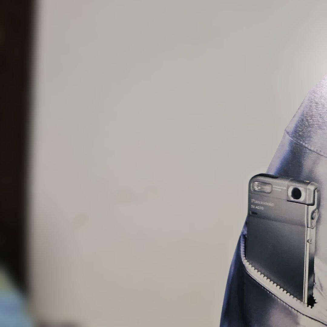 浜崎あゆみ D-snap SDマルチカメラ 告知パネル