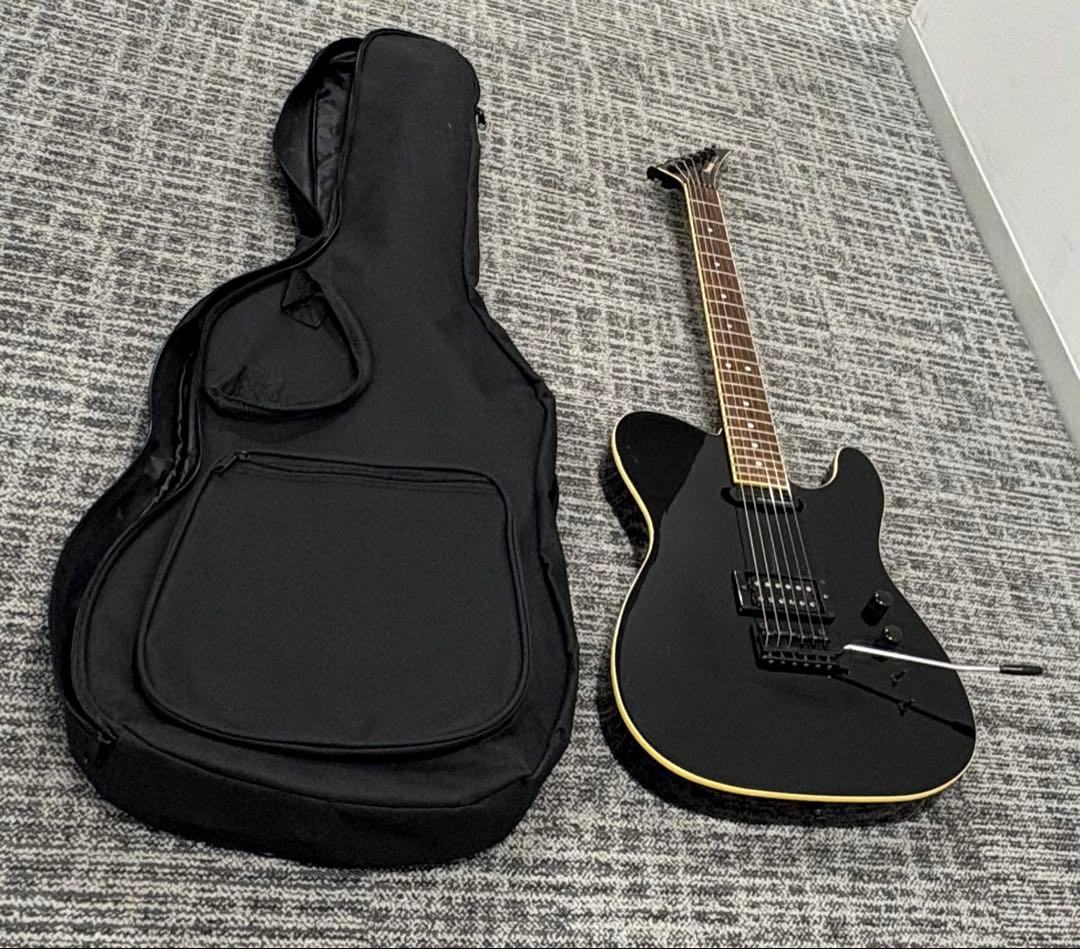 フェルナンデス TEJ-95S サスティナー9V