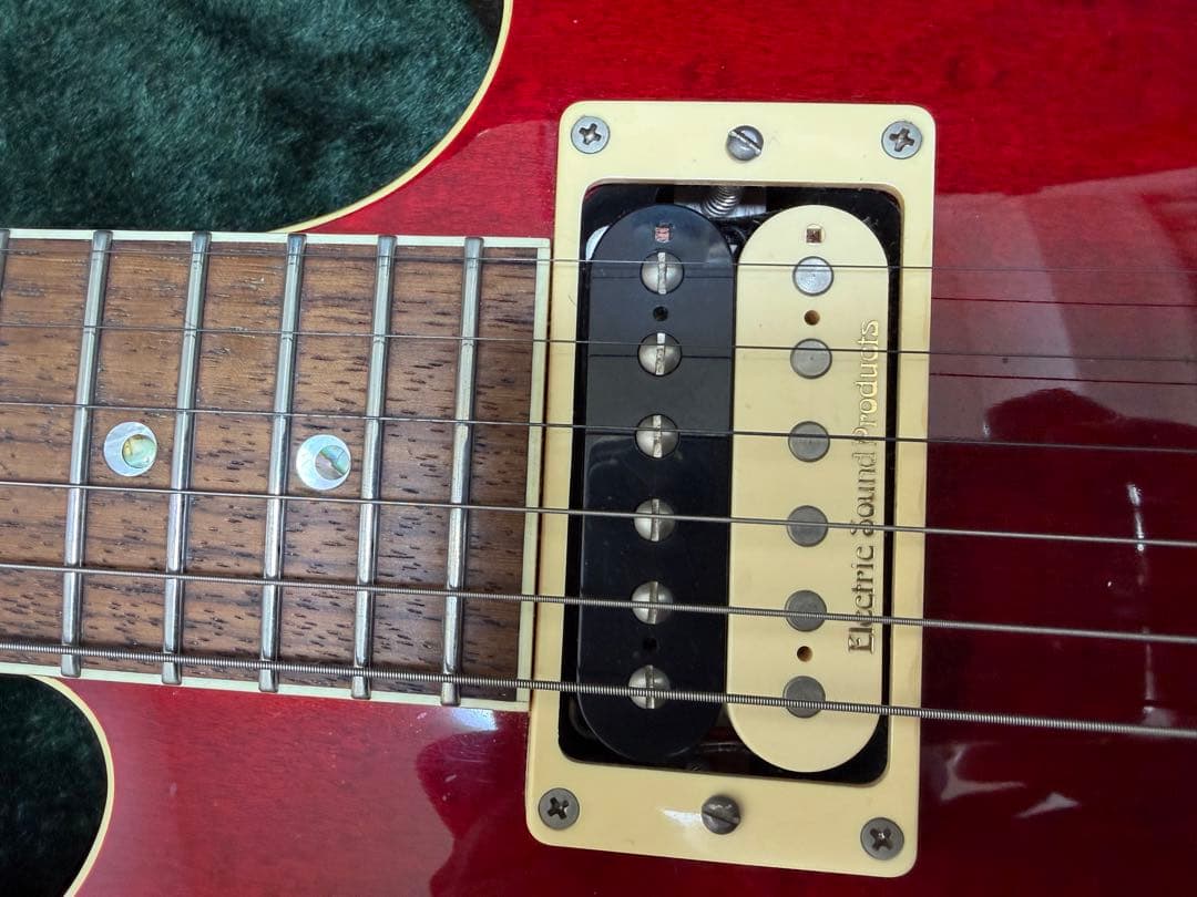 【希少、美品】ESP potbelly TR 専用ハードケース付き