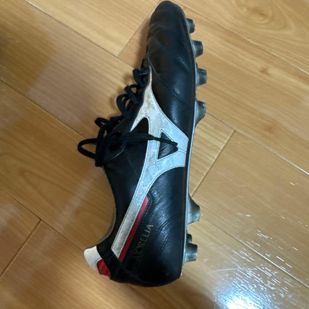 モレリアスパイク2japan