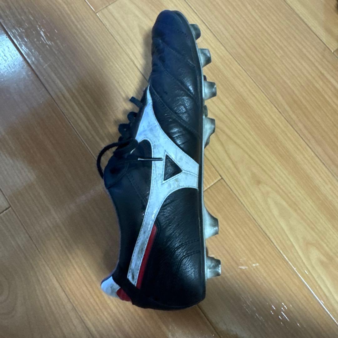 モレリアスパイク2japan