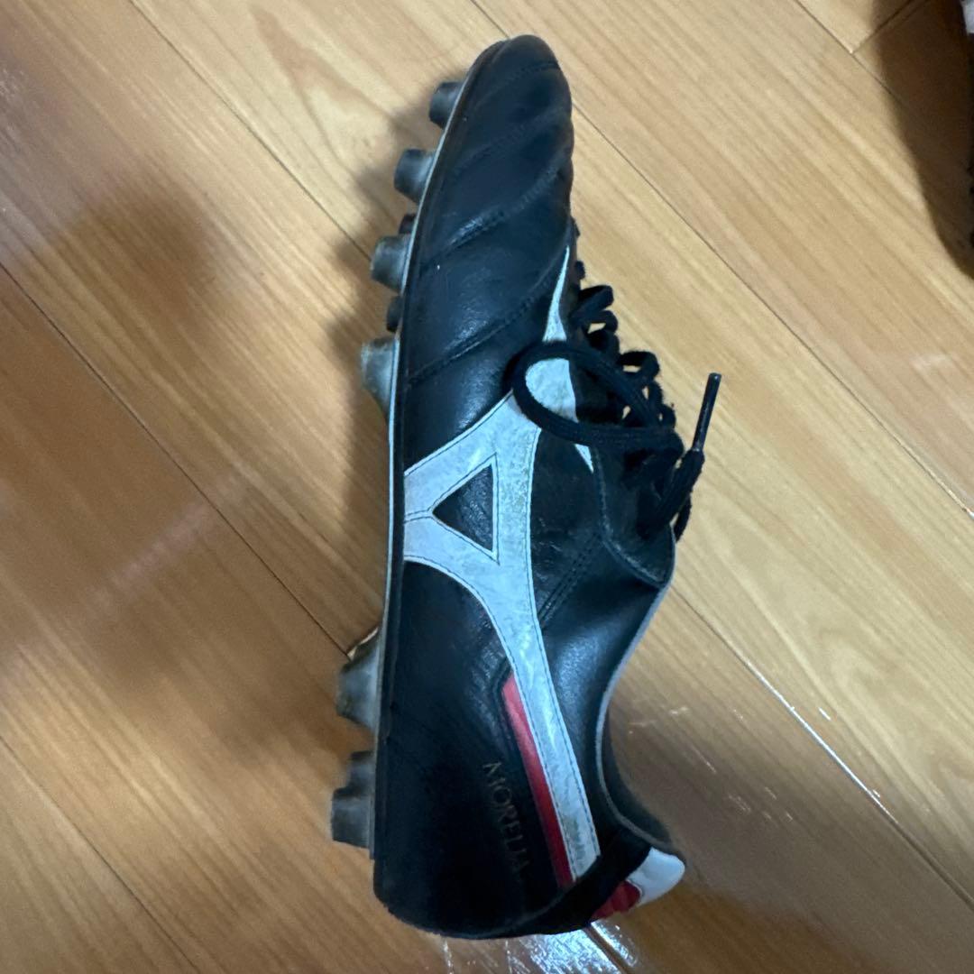 モレリアスパイク2japan