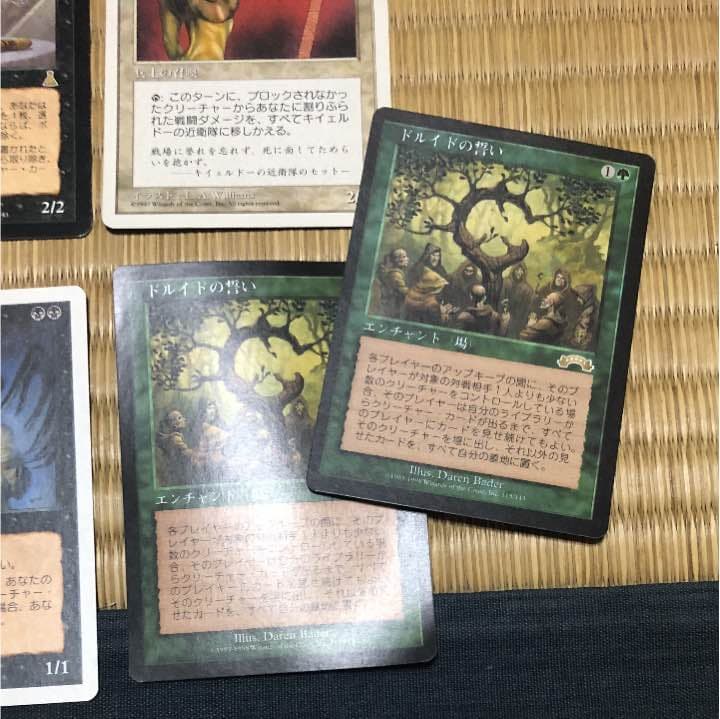 MTG ドルイドの誓い2枚を含む 30枚以上 レアもあると思います。