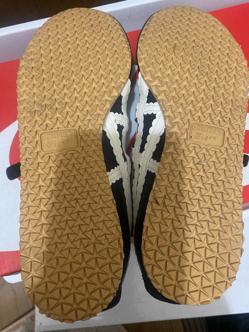 MEXICO 66 TGRS / メキシコ 66 ティージーアールエス