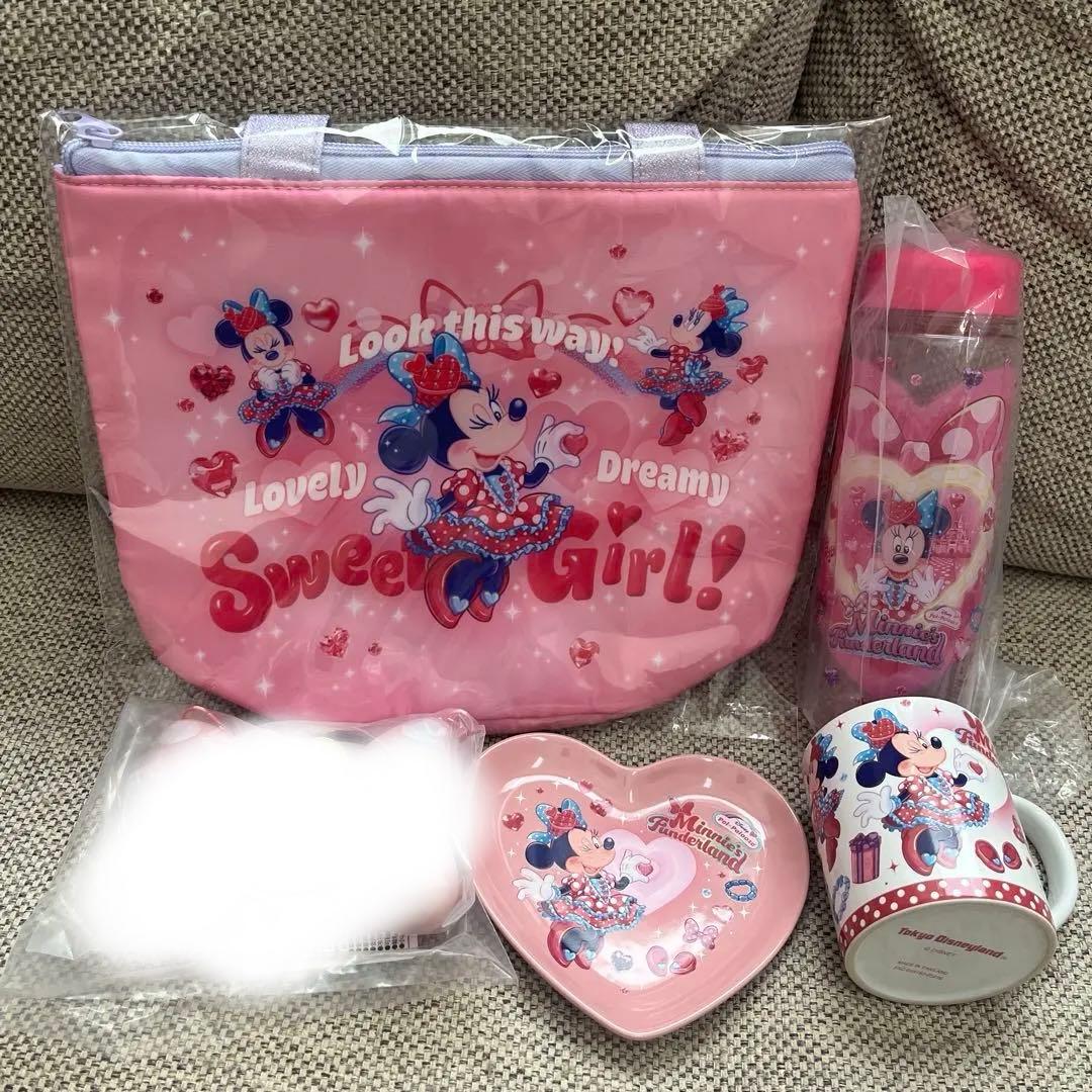 ディズニー パルパルーザ ファンダーランド ミニー スーベニア 4点セット